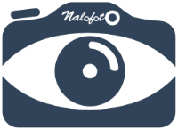 Logo Nalofoto bleu 200