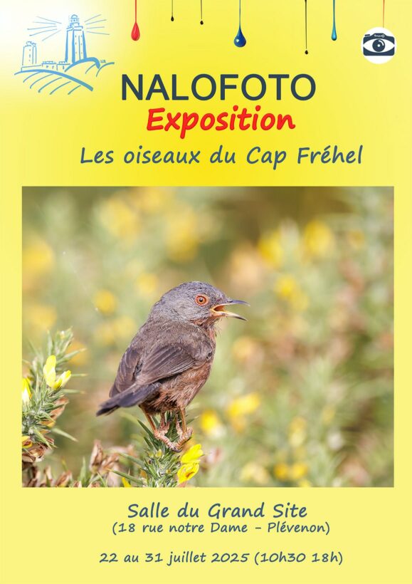affiche nalofoto 2025 expo grand site-Nalofoto