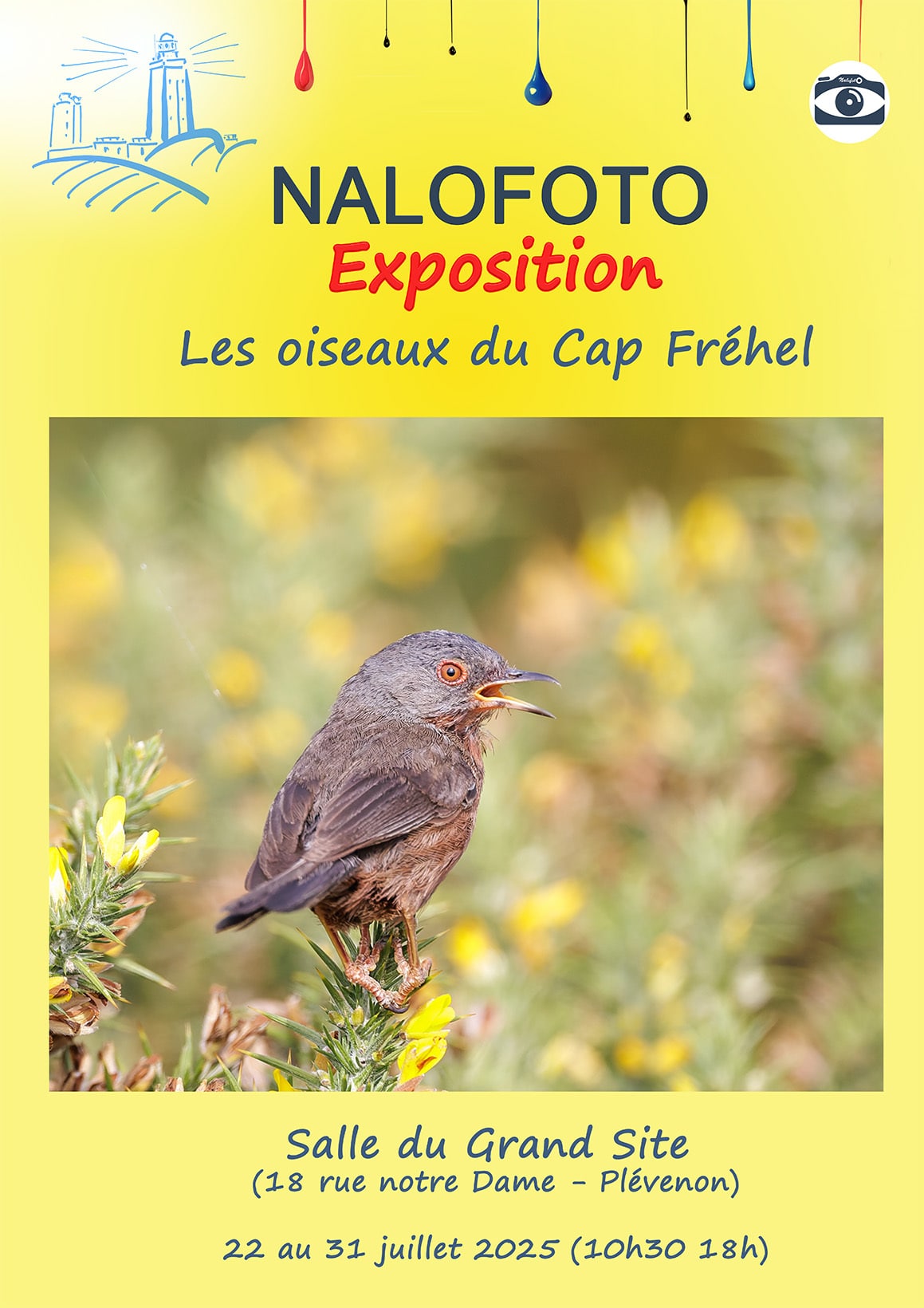 affiche nalofoto 2025 expo grand site-Nalofoto